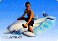 Naf. delf�n