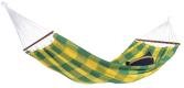 Brasilia kiwi